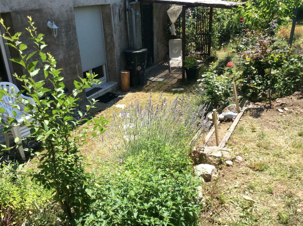 Gite Le Faucon Pelerin Scherwiller Exterior photo